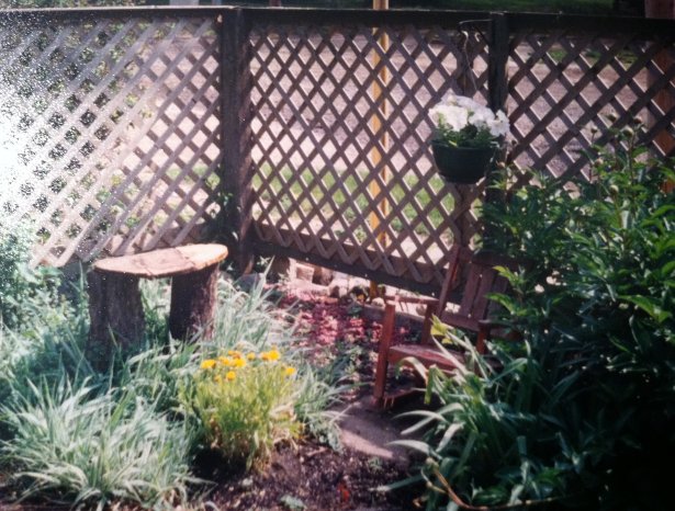 Patio Garden Memories | Vintage Floral Cottage