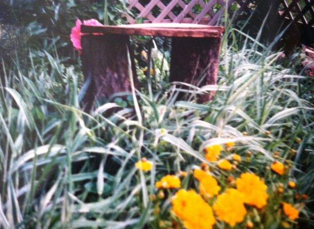 Patio Garden Memories | Vintage Floral Cottage