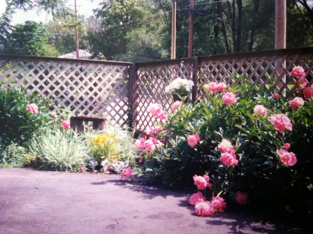 Patio Garden Memories | Vintage Floral Cottage