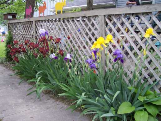 Patio Garden Memories | Vintage Floral Cottage