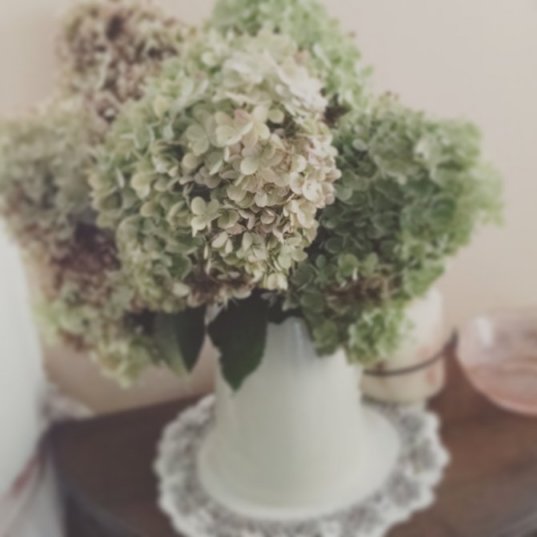 Drying Hydrangeas | Vintage Floral Cottage