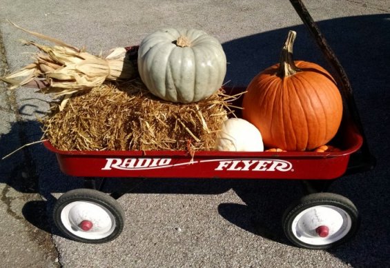 Des Moines, Iowa Pumpkin Patch | Vintage Floral Cottage