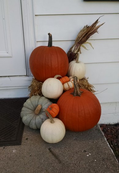 Des Moines, Iowa Pumpkin Patch | Vintage Floral Cottage