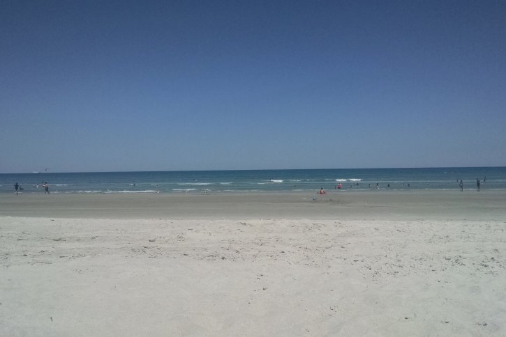 the beach y'all | Vintage Floral Cottage