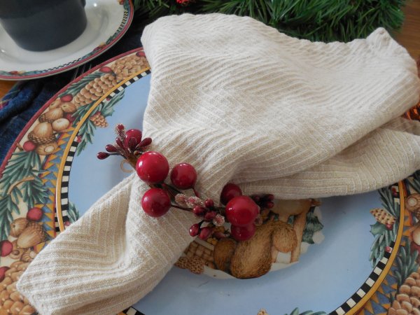 Debbie Mumm Woodland Santa Tablescape | Vintage Floral Cottage