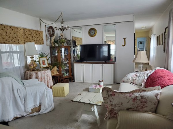Thrift store and secondhand living room