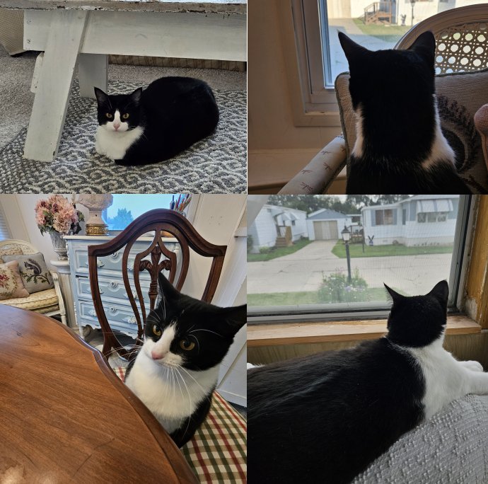Other spots around the house