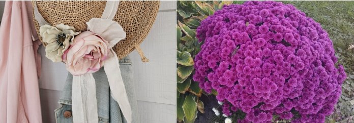 Textures of Faded Summer