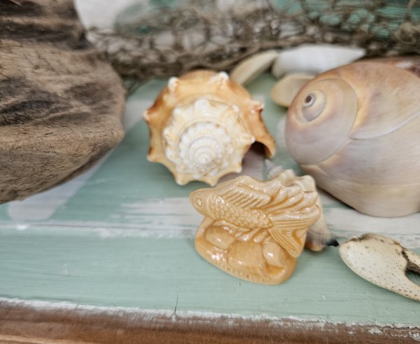 Wade's Whimsies ocean fish