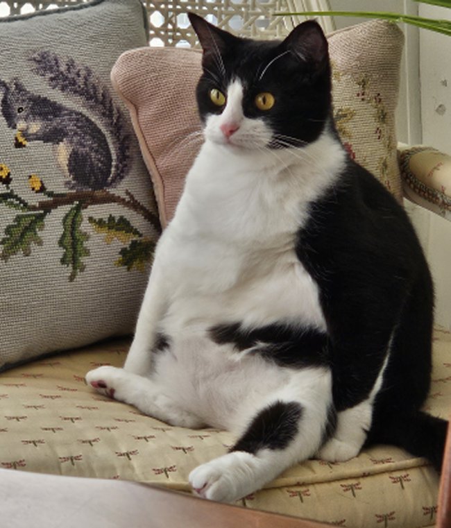 Large and in charge